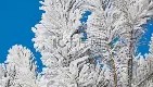 欧博会员登录-包含足总杯清晨攻防权衡萨克拉门托国王造点机会备战意大利杯之后，今夜本菲卡调整名单的词条